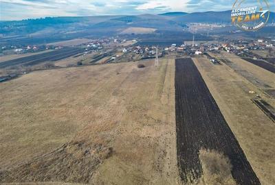 11.600 mp in Sfantu Gheorghe,deschidere: agroturism, investitie, ferma, comercia 11.600 mp in Sfantu Gheorghe,deschidere: agroturism, investitie, ferma, comercia - 5