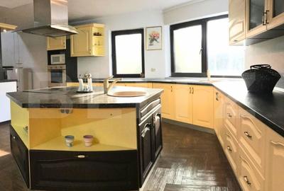 Casă cu 8 camere cu Teren 1038 Mp în Lucieni - 15