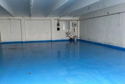 Hale oportunitate randament maxim Pantelimon - 2