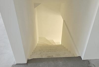 Dudestii Noi – Casa 7 Camere – Proiect  2  Familii - 14