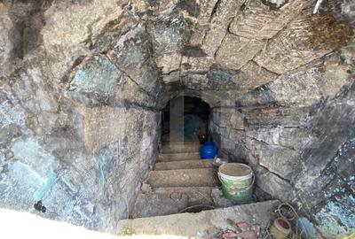 Casa batraneasca cu 6000 mp teren Schitul Duca - 4