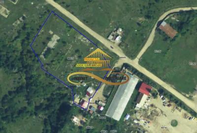 Teren pentru constructie hala indrustriala - Moinesti/Bacau - 3