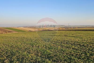 Teren agricol extravilan de 10200 mp, în Stroiești - 11