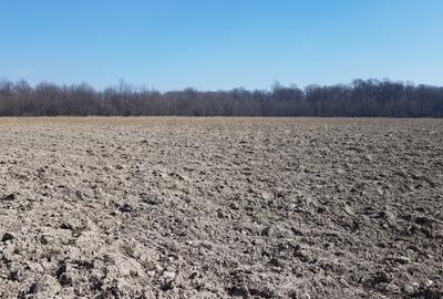 Teren agricol intravilan de 30000 mp, în Tărtășești - 4