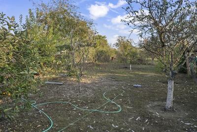 COMISION 0% | 2 Case cu Spatiu Comercial | Teren 1019mp | 540 eur/mp - 43