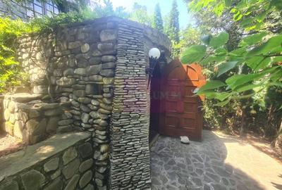 Vila de vanzare in Campina - Zona Lunca Mare - 33