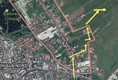 Teren de 5000 mp, în Dudașu - 3