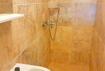 Garsonieră nedecomandată în Aradului - 3