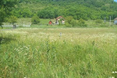 Teren agricol intravilan de 900 mp, în Livezeni