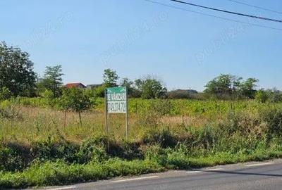 Teren 2.000 mp deschidere 20 m LA DN 26 INTRARE TULUCE?TI - 1
