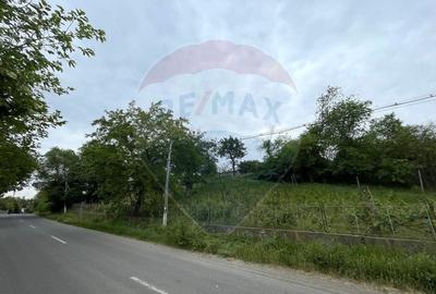 Casa si Teren Generos la Granita cu Republica Moldova! - 3