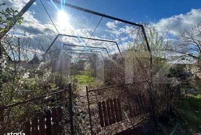 Teren de 639 mp, în Dragomirești - 6