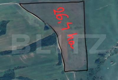 Tern extravilan 26,3974 ha, Ardud - 3