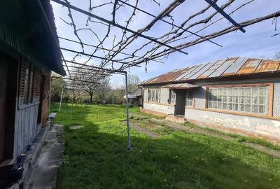 Casă cu Teren 1273 Mp în Dobra - 4