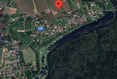 Teren de 1000 mp, în Bălteni - 8