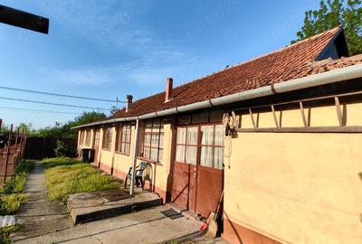 Casa de vanzare in comuna Tormac - 2