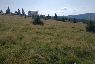 Teren de 8640 mp, în Beliș - 2