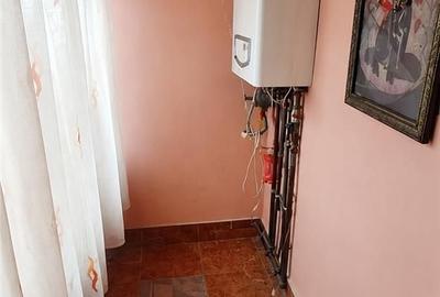 Casă cu 3 camere cu Teren 1265 Mp în Viișoara
