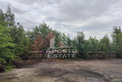 Teren Construcții intravilan de 8000 mp, în Vladimirescu - 2
