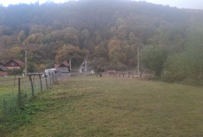 Spațiu comercial, în Râu Sadului