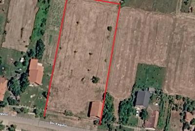 Teren Construcții intravilan de 4316 mp, în Țipari - 1