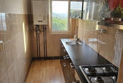 Apartament cu 2 camere decomandat în Mănăștur - 13