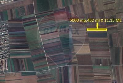 Teren Extravilan 5.000 mp Tarlungeni / Strada Zizinului - 2
