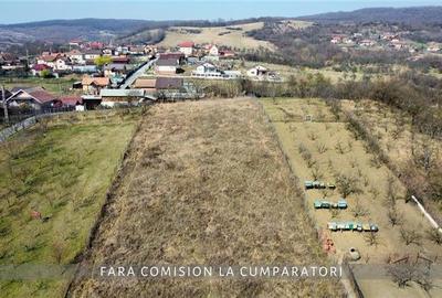 CAZANESTI, TEREN 3336mp - DESCHIDERE 27m - 12