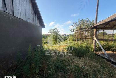 Casă cu 4 camere cu Teren 3022 Mp în Sânandrei - 10