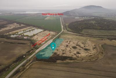 Teren agricol extravilan de 8600 mp, în Central - 1