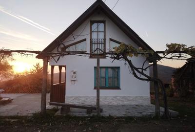 Casă cu 2 camere în Dulcele - 4