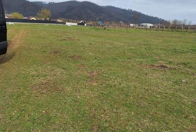 Teren de 17500 mp, în Central - 8