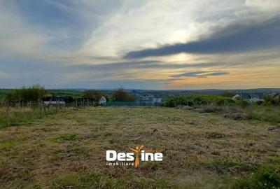 Teren de 974 mp, în Bucium - 10