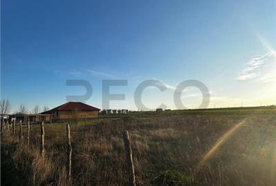 RECO Teren intravilan , Comuna Paleu , Bihor - 2