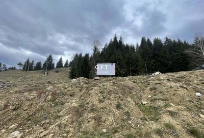 Teren de 3039 mp, în Colibița - 5