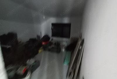 Casă cu Teren 325 Mp în Sânandrei