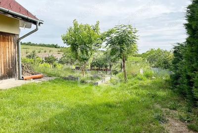 Casa cu teren 2052 mp in Saldabagiu de Munte - 12