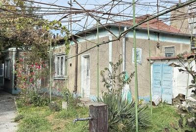 TEREN | DELFINARIU | DESCHIDERE 13 - 2