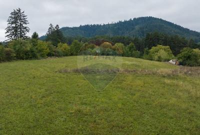 Teren Construcții intravilan de 3175 mp, în Cernatu - 8