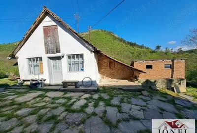 Casa de vanzare cu 46774 mp teren in zona Vintu de Jos - 5