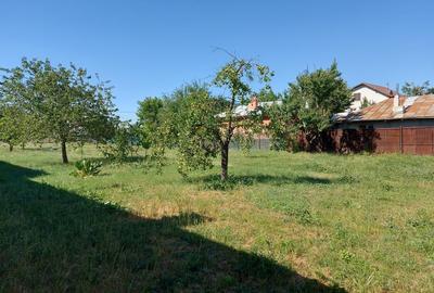 Teren de 700mp cu 24m deschidere situat pe Bd. Laminorului! - 6