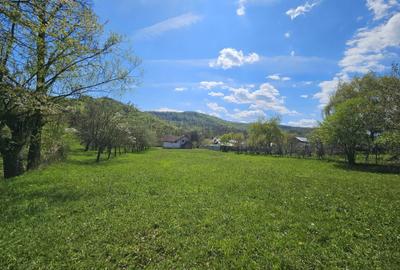 Casă cu 4 camere în Central - 6