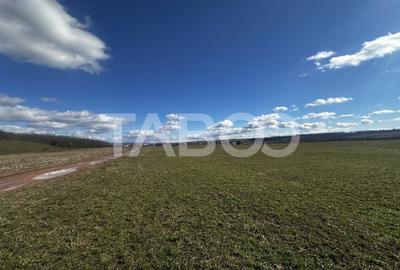 Teren agricol extravilan de 2200 mp, în Turnișor - 2