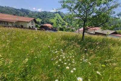 Teren de 1.450 mp, cu priveliste de carte postala, Bran, Moieciu, Brasov - 21