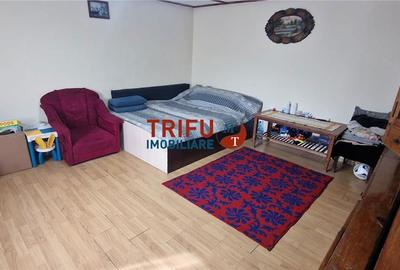 Casă cu 2 camere cu Teren 437 Mp în Ighiu - 10