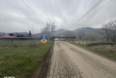 Teren de 1200 mp, în Alexandru cel Bun - 1