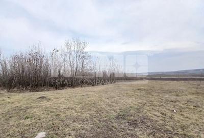 Teren Construcții intravilan de 6000 mp, în Cumpărătura - 2