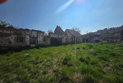 Teren intravilan de 3890 mp, în Bărcut - 7