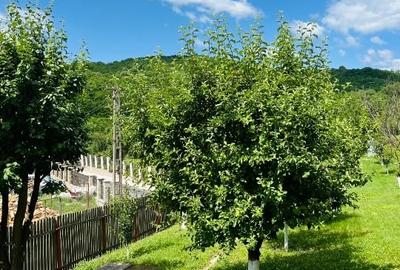 Casă individuală cu 4 camere cu Teren 1670 Mp în Central - 2
