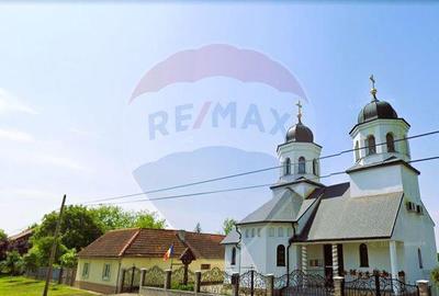 Teren de 5018 mp, în Variașu Mare - 8